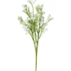 ohne Marke Blumen>Acker-Witwenblume "Evergreen"