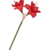 DPI Blumen>Amaryllis, L 37 cm