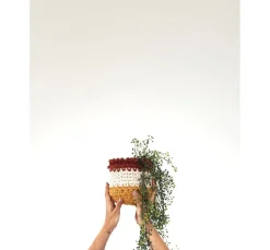 Kinder Anchor Bänder|Makramee><noscript><img width=