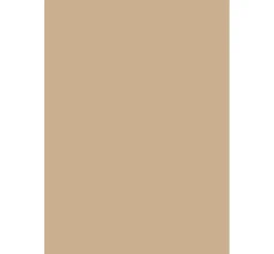 Rico Design Tonpapier & Fotokarton|Farb- & Motivblöcke><noscript><img width=