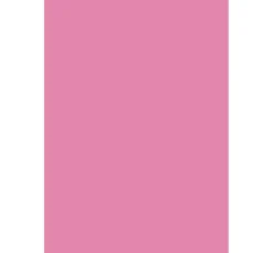 Rico Design Tonpapier & Fotokarton|Farb- & Motivblöcke><noscript><img width=