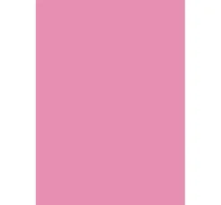 Rico Design Tonpapier & Fotokarton|Farb- & Motivblöcke><noscript><img width=