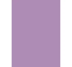 Rico Design Tonpapier & Fotokarton|Farb- & Motivblöcke><noscript><img width=