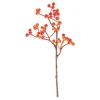 DPI Gräser & Beeren>Beeren Pick, Orange
