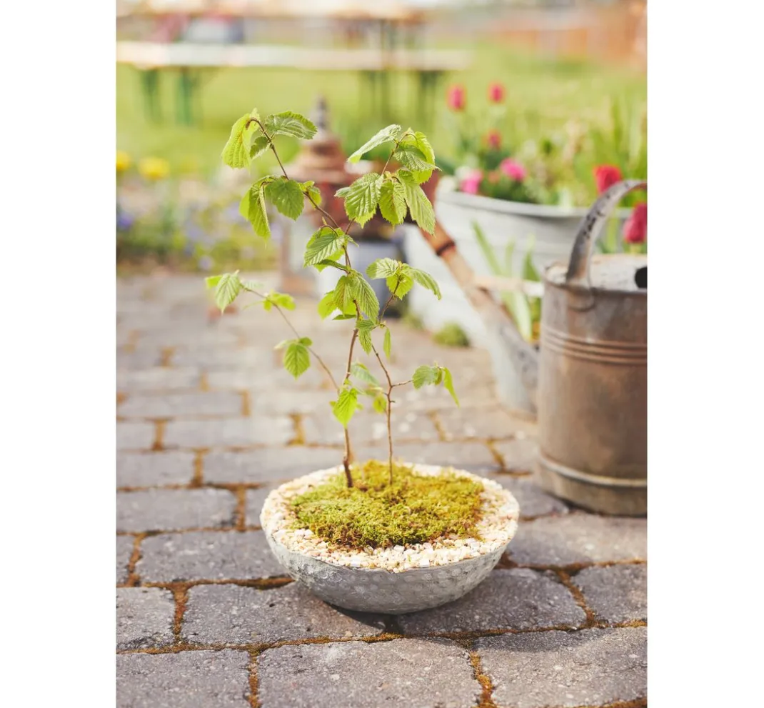 Kinder Viva Decor Modelliermasse|Modelliermassen>Beton zum Kneten