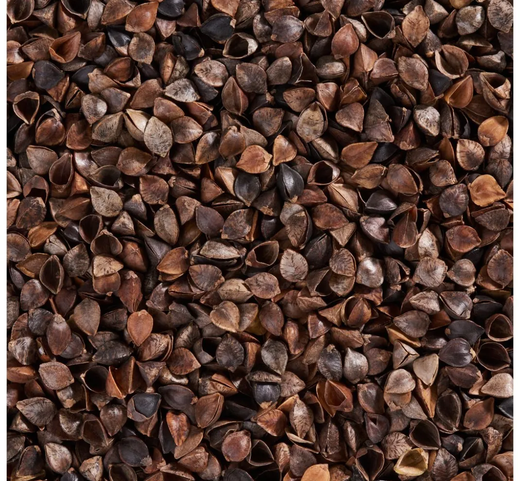 efco Füllmaterial|Naturmaterialien>Bio-Buchweizenschalen
