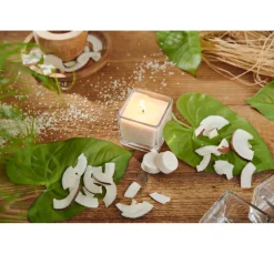 Stellwag creative Kerzen Gestalten|Kerzen Gestalten><noscript><img width=