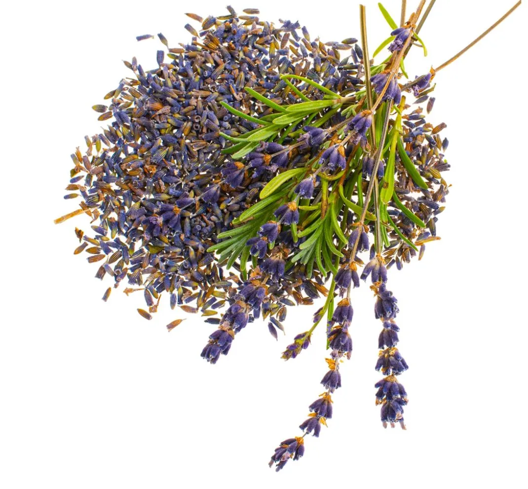 GLOREX Seifen-Design|Naturkosmetik>Blüten, getrocknet