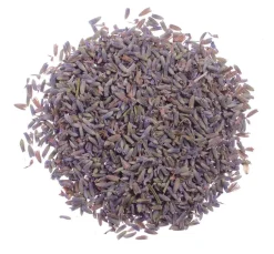 GLOREX Seifen-Design|Naturkosmetik><noscript><img width=