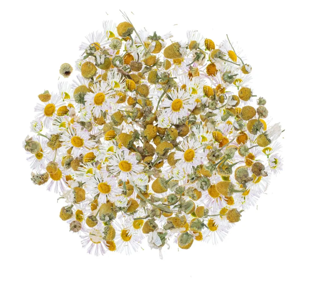 GLOREX Seifen-Design|Naturkosmetik>Blüten, getrocknet