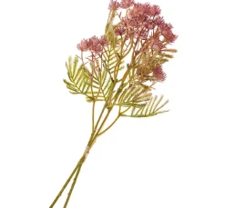DPI Blumen>Blütenstand-Zweig