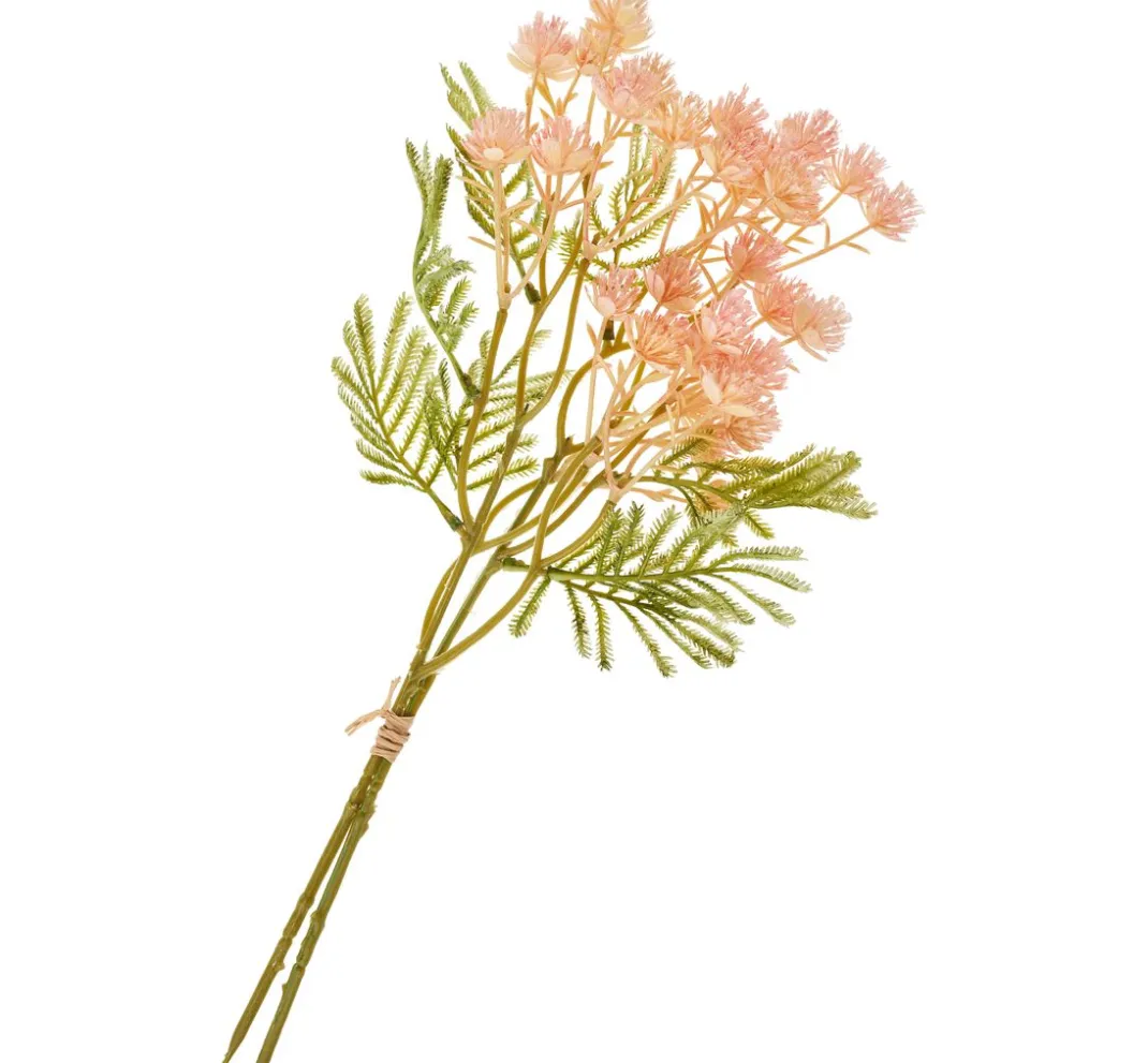 DPI Blumen>Blütenstand-Zweig