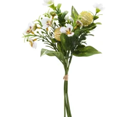 DPI Blumen>Blumenbund "Viola"