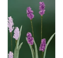 Meyco Deko-Zubehör><noscript><img width=