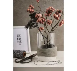 CV Bücher><noscript><img width=