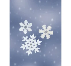 Topp Bücher>Buch "Schneekristalle aus Transparentpapier"