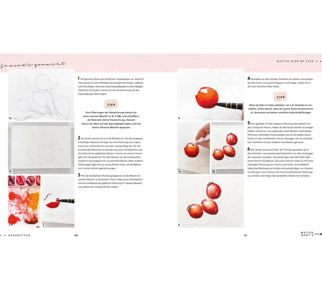EMF Aquarell|Malvorlagen>Buch "Watercolor - Malen mit Aquarell"