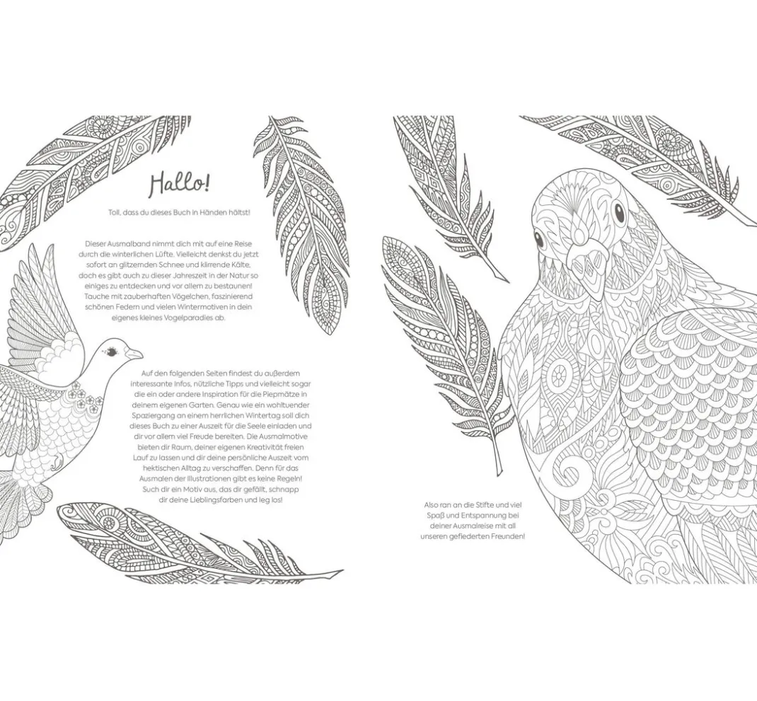 EMF Ausmalbücher|Bücher>Buch "Winterliche Vogelwelt"