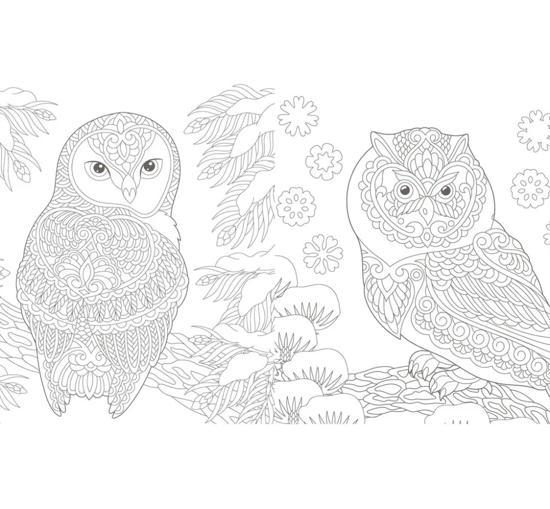 EMF Ausmalbücher|Bücher>Buch "Winterliche Vogelwelt"