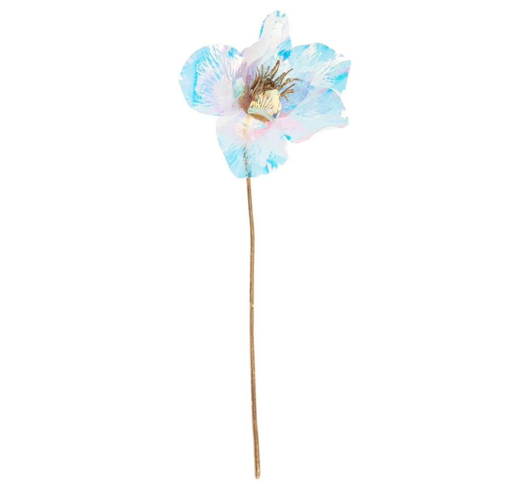 DPI Blumen>Christrose, irisierend