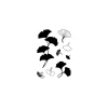 efco Stempel & Zubehör|Kartengestaltung>Clear Stamps "Ginkgo"