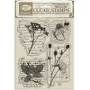 Stamperia Scrapbooking|Kartengestaltung>Clear-Stamps "Herbarium Silvae"