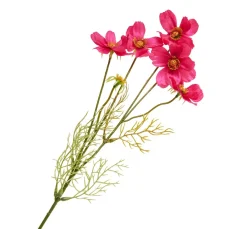 DPI Blumen|Bäume & Zweige>Cosmea Zweig mit 5 Blüten
