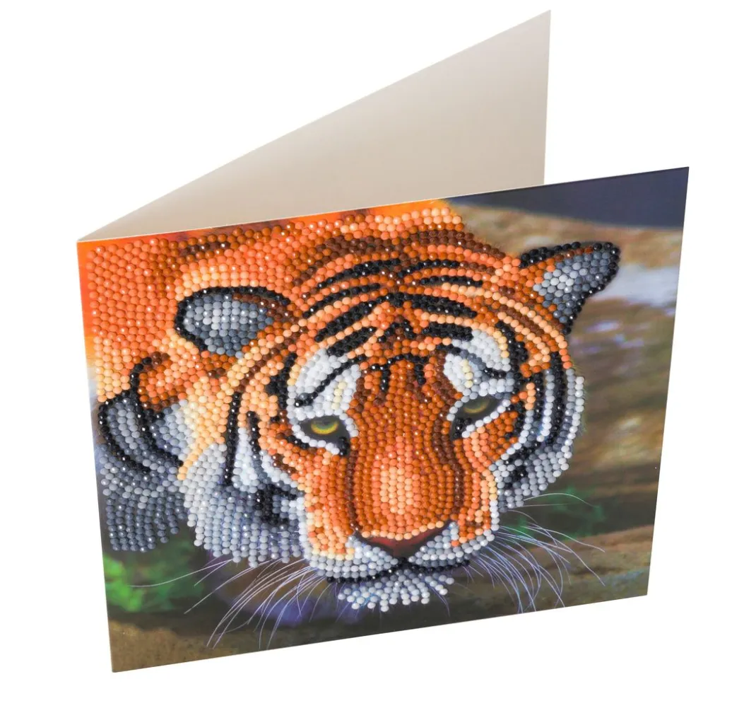 Craft Buddy Diamond Painting>Diamond Painting "Crystal Art Card"