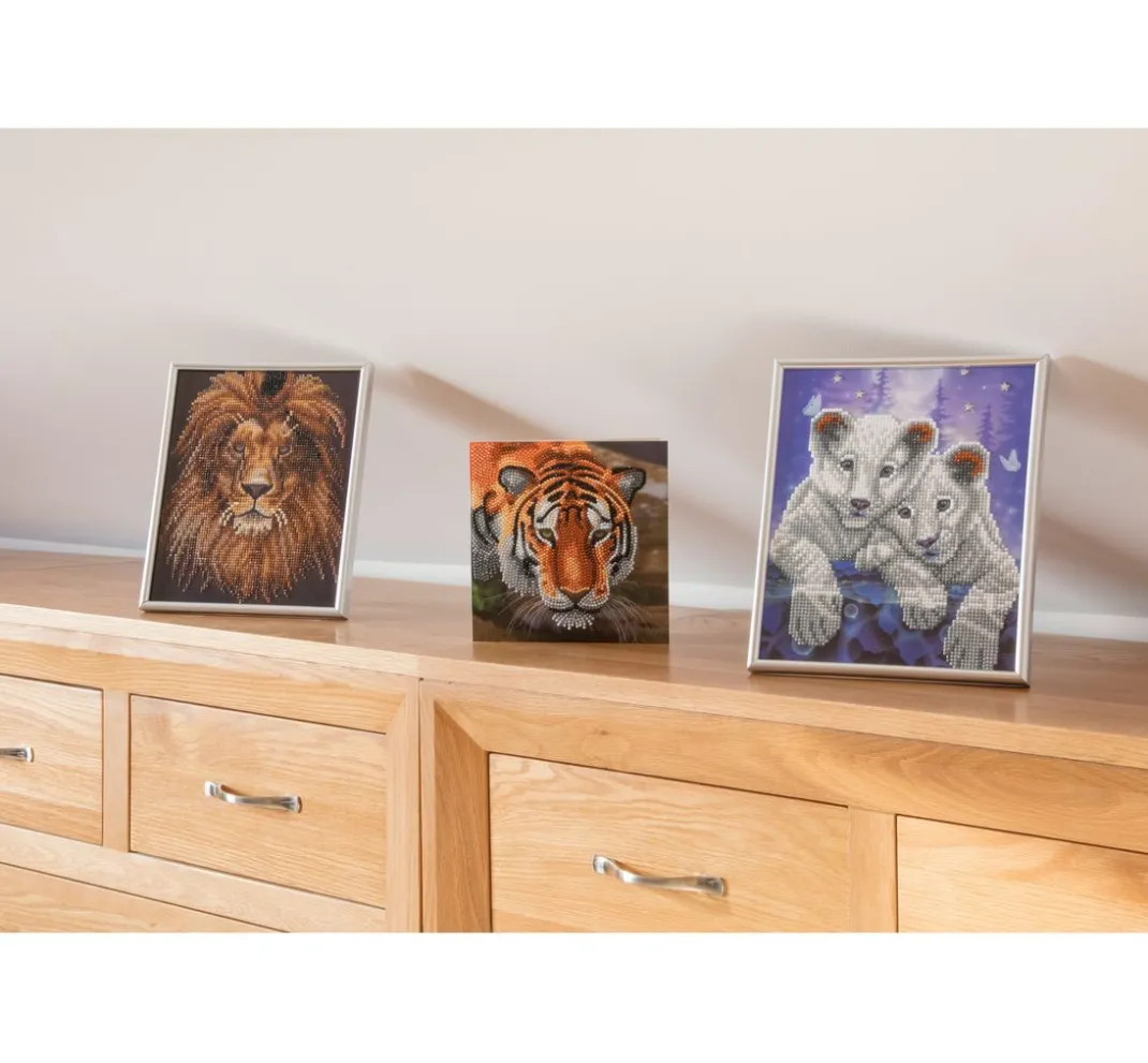 Craft Buddy Diamond Painting>Diamond Painting "Crystal Art Card"