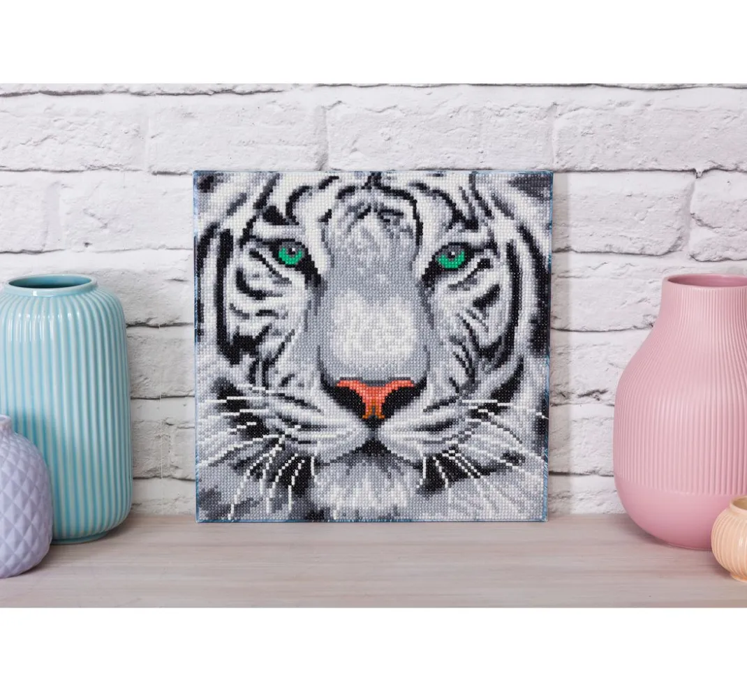 Craft Buddy Diamond Painting>Diamond Painting "Crystal Art Kit", 30 x 30 cm