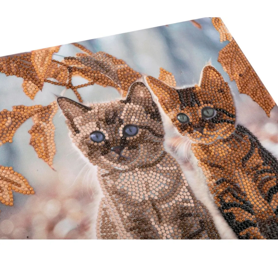 Craft Buddy Diamond Painting>Diamond Painting "Crystal Art Kit", 30 x 30 cm