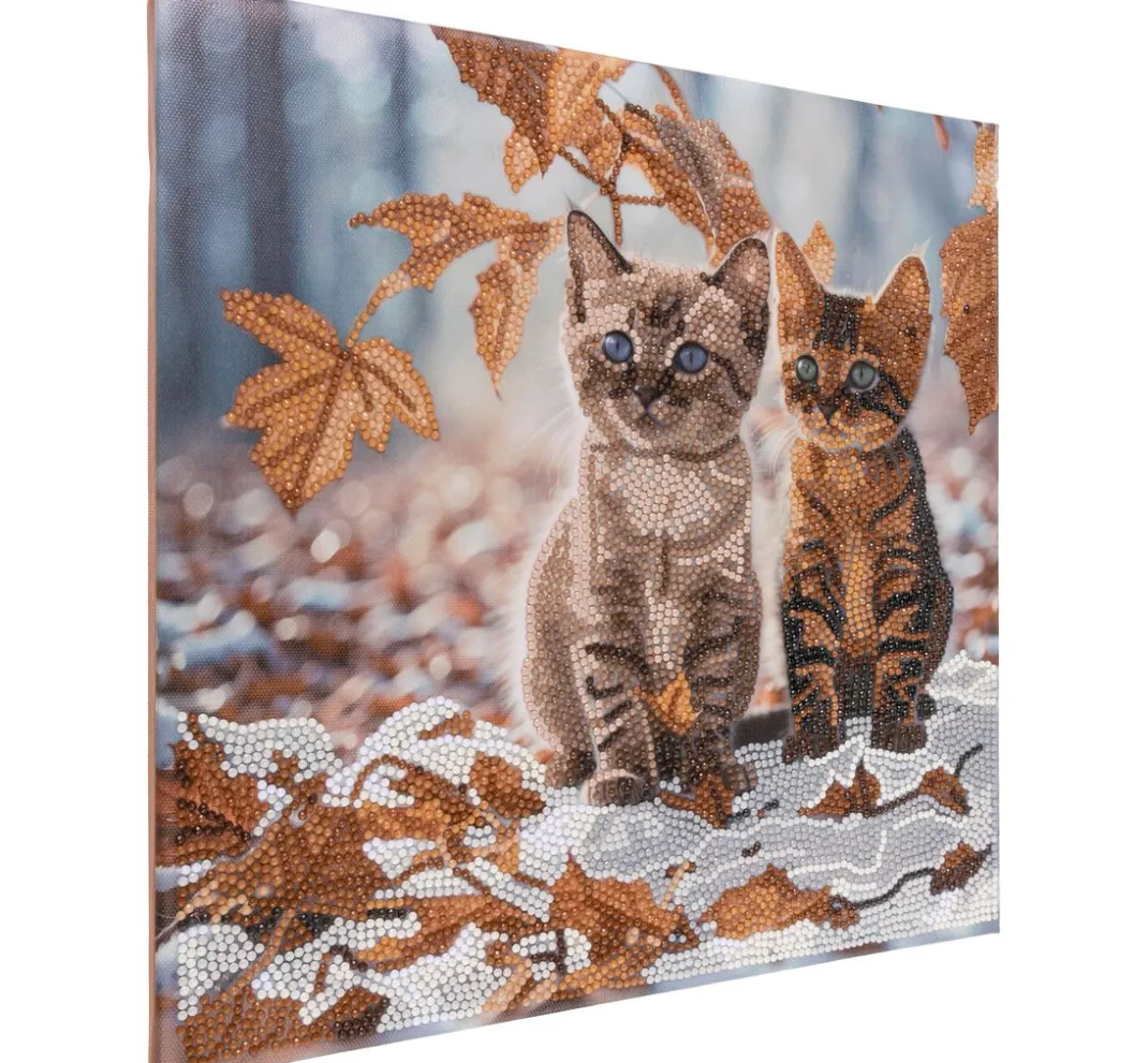 Craft Buddy Diamond Painting>Diamond Painting "Crystal Art Kit", 30 x 30 cm