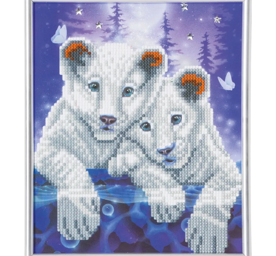 Craft Buddy Diamond Painting>Diamond Painting "Picture Frame Crystal Art"