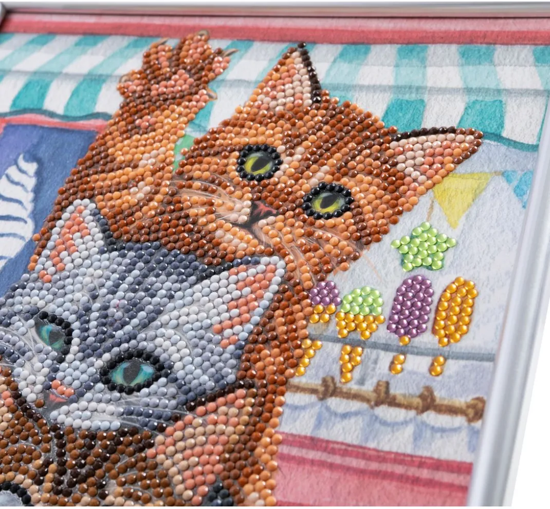 Craft Buddy Diamond Painting>Diamond Painting "Picture Frame Crystal Art"