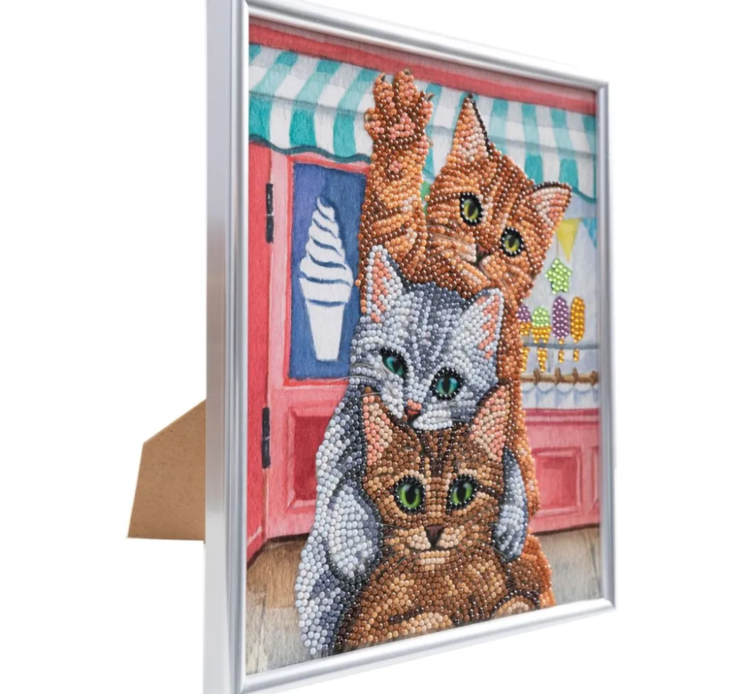 Craft Buddy Diamond Painting>Diamond Painting "Picture Frame Crystal Art"