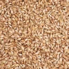 ohne Marke Füllmaterial>Dinkelspreu 250g