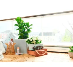 edding Sprühfarbe|Effektfarbe><noscript><img width=