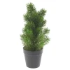 DPI Tanne|Bäume & Zweige>Edeltannenbaum "Rory" im Topf