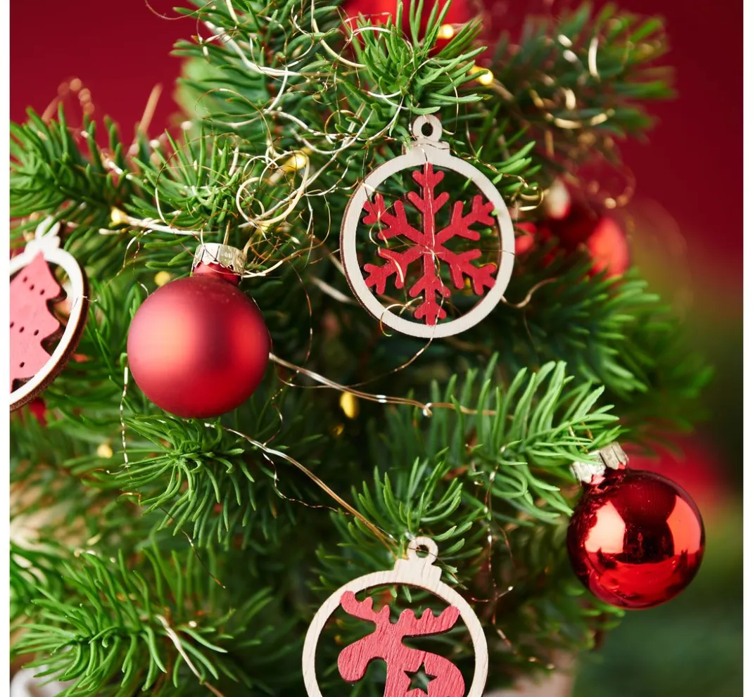 DPI Tanne|Bäume & Zweige>Edeltannenbaum "Rory" im Topf