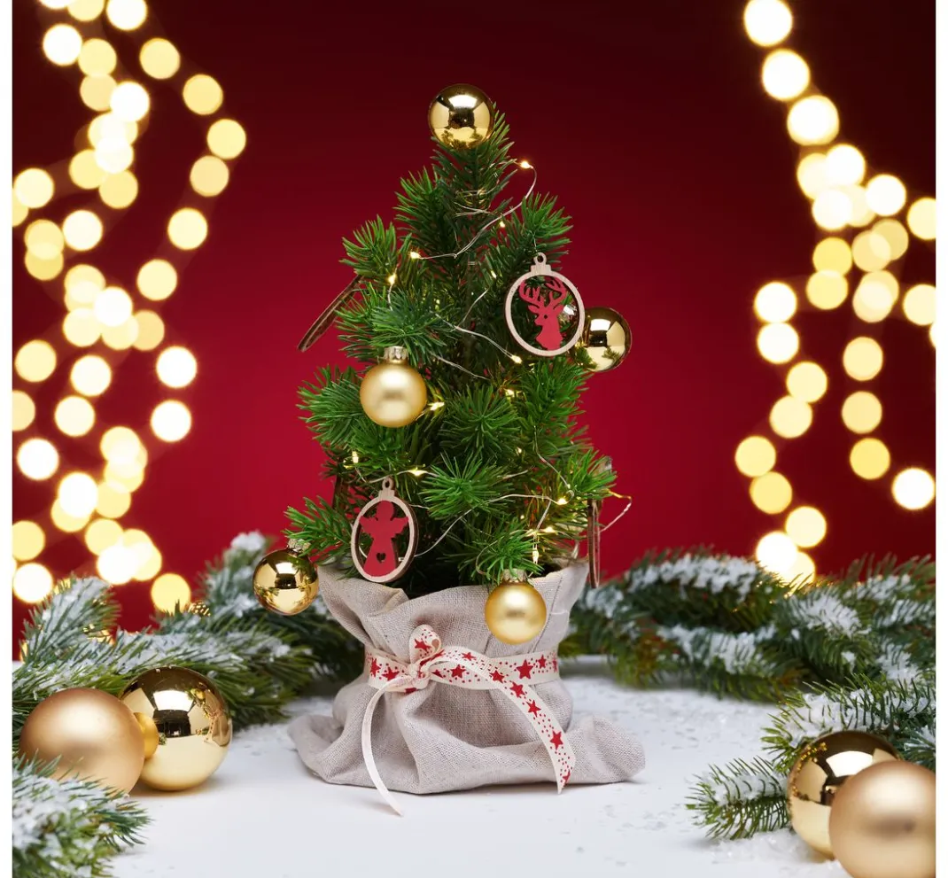 DPI Tanne|Bäume & Zweige>Edeltannenbaum "Rory" im Topf