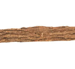 ohne Marke Rindenartikel|Naturmaterialien>Eichen-Schwartenbrett, ca. 70 cm