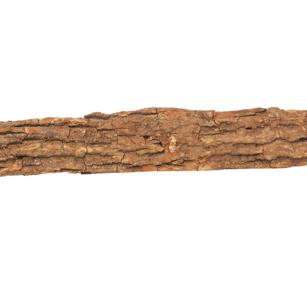 ohne Marke Rindenartikel|Naturmaterialien>Eichen-Schwartenbrett, ca. 70 cm