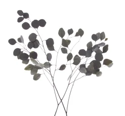 ohne Marke Trockenblumen & - Früchte><noscript><img width=
