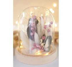 ohne Marke Trockenblumen & - Früchte><noscript><img width=