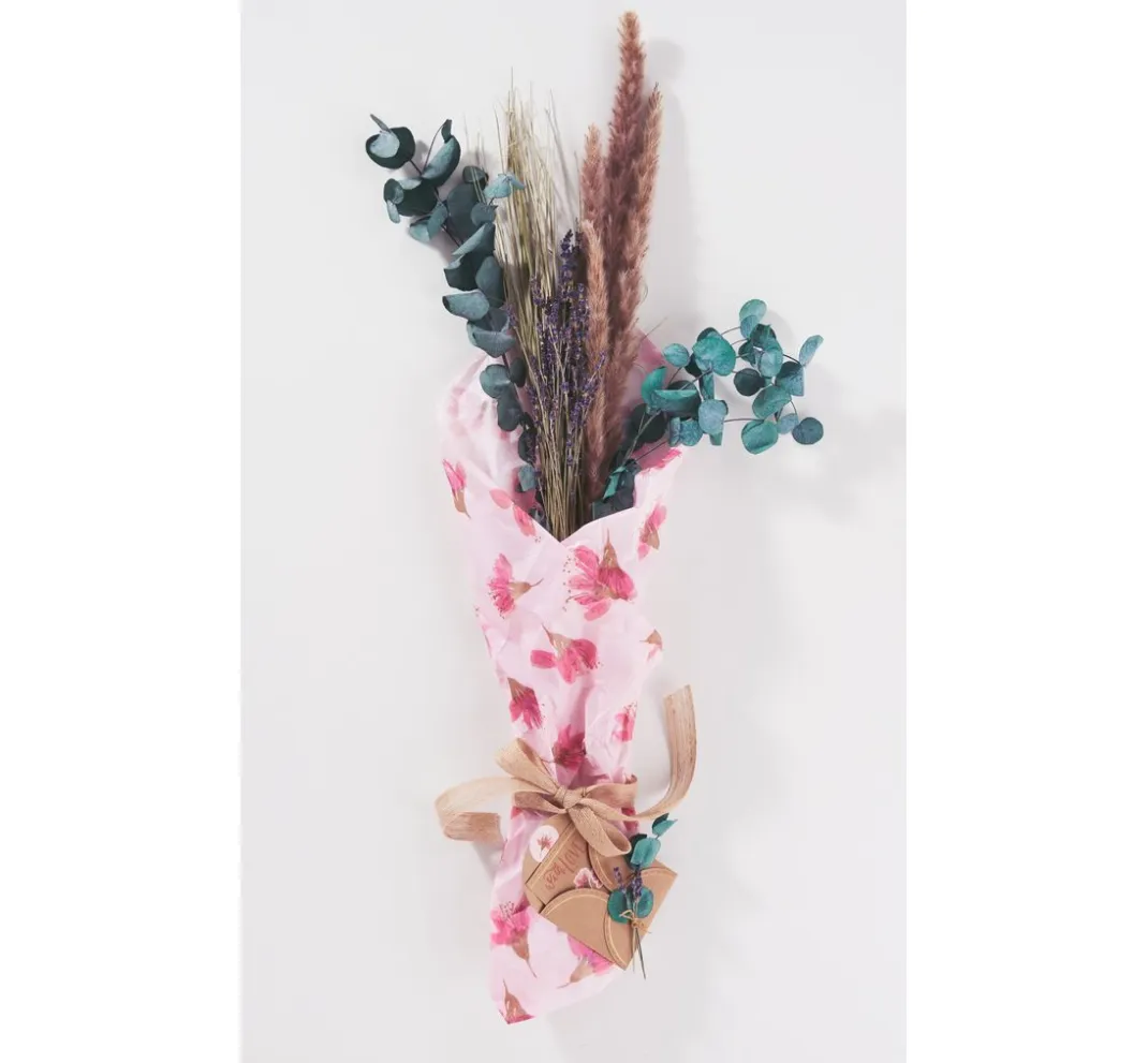 VBS Trockenblumen & - Früchte>Eukalyptus Cinerea