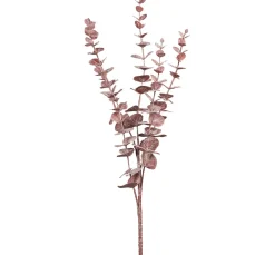 DPI Bäume & Zweige>Eukalyptus Zweig "Burgundy"