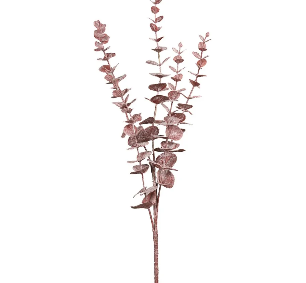 DPI Bäume & Zweige>Eukalyptus Zweig "Burgundy"