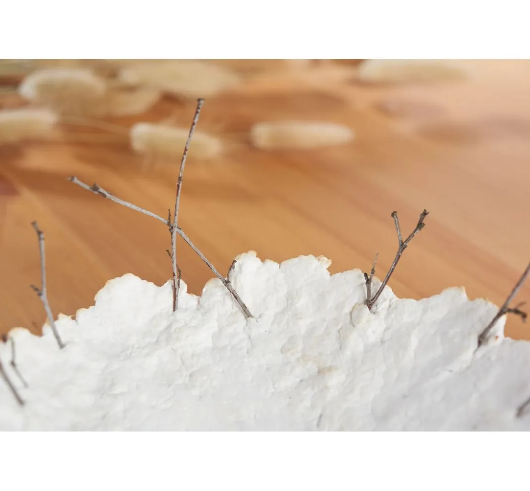 CREARTEC Papierschöpfen|Weiteres>Eukalyptuscellulose, lang