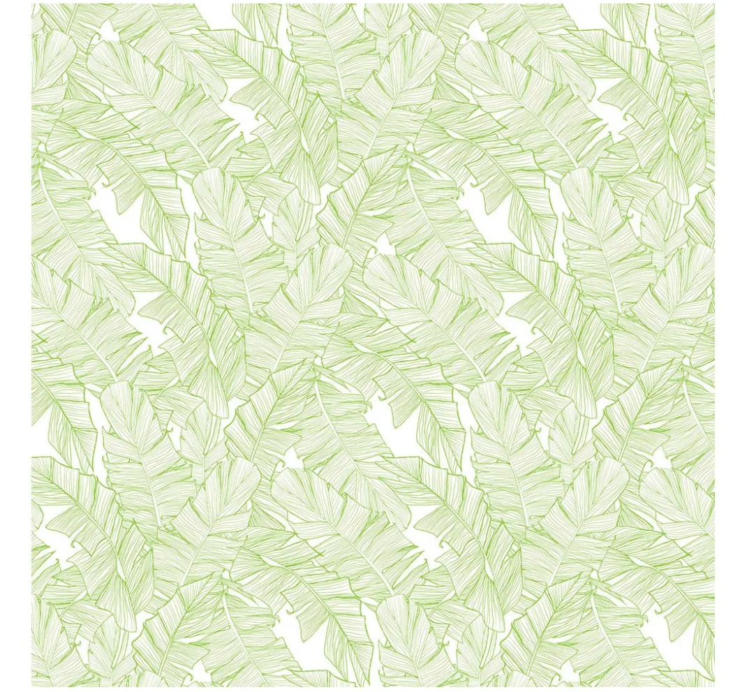 Clairefontaine Origami & Papier Falten|Falt- & Origamipapier>Faltblätter "Jungle Green"