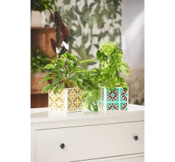 VBS Glas- & Porzellanmalerei|Décopatch><noscript><img width=